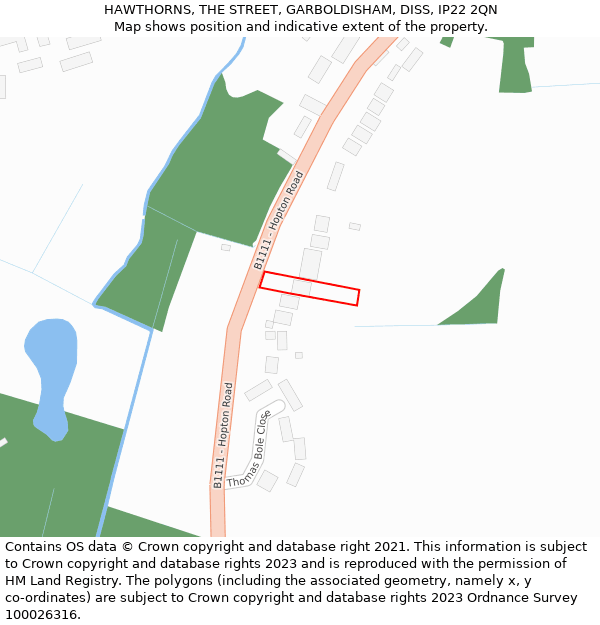 HAWTHORNS, THE STREET, GARBOLDISHAM, DISS, IP22 2QN: Location map and indicative extent of plot