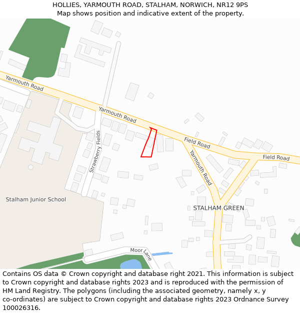 HOLLIES, YARMOUTH ROAD, STALHAM, NORWICH, NR12 9PS: Location map and indicative extent of plot