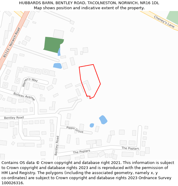 HUBBARDS BARN, BENTLEY ROAD, TACOLNESTON, NORWICH, NR16 1DL: Location map and indicative extent of plot