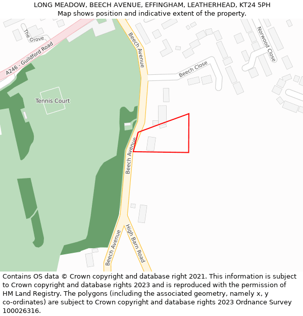 LONG MEADOW, BEECH AVENUE, EFFINGHAM, LEATHERHEAD, KT24 5PH: Location map and indicative extent of plot