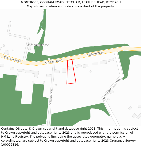 MONTROSE, COBHAM ROAD, FETCHAM, LEATHERHEAD, KT22 9SH: Location map and indicative extent of plot