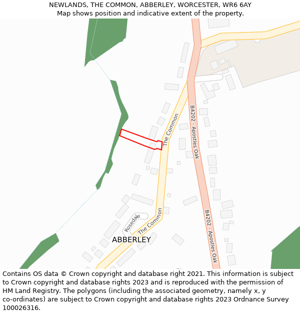 NEWLANDS, THE COMMON, ABBERLEY, WORCESTER, WR6 6AY: Location map and indicative extent of plot