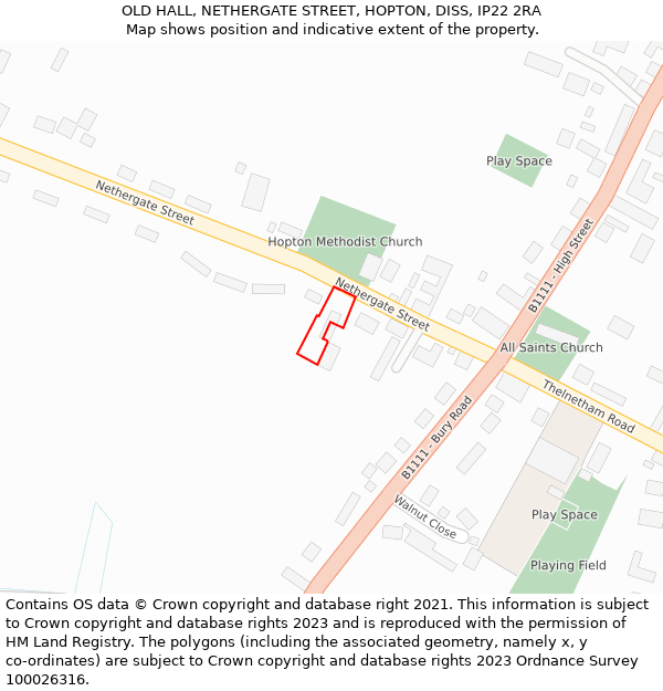 OLD HALL, NETHERGATE STREET, HOPTON, DISS, IP22 2RA: Location map and indicative extent of plot