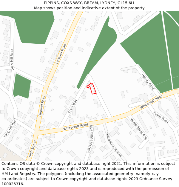 PIPPINS, COXS WAY, BREAM, LYDNEY, GL15 6LL: Location map and indicative extent of plot