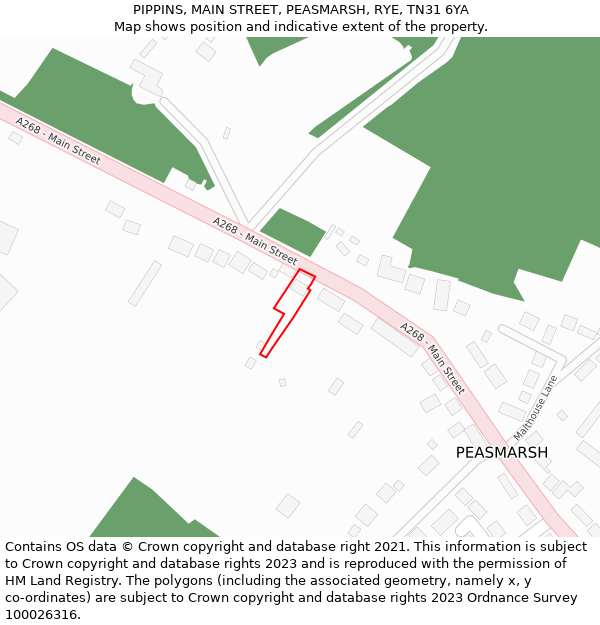 PIPPINS, MAIN STREET, PEASMARSH, RYE, TN31 6YA: Location map and indicative extent of plot
