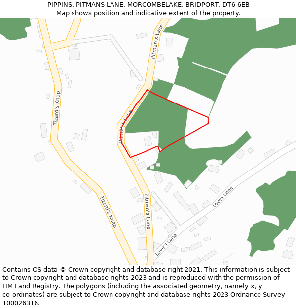 PIPPINS, PITMANS LANE, MORCOMBELAKE, BRIDPORT, DT6 6EB: Location map and indicative extent of plot