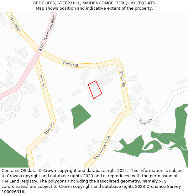 REDCLIFFS, STEEP HILL, MAIDENCOMBE, TORQUAY, TQ1 4TS: Location map and indicative extent of plot