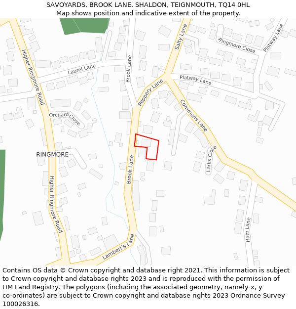 SAVOYARDS, BROOK LANE, SHALDON, TEIGNMOUTH, TQ14 0HL: Location map and indicative extent of plot