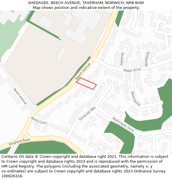 SHEDAGEE, BEECH AVENUE, TAVERHAM, NORWICH, NR8 6HW: Location map and indicative extent of plot