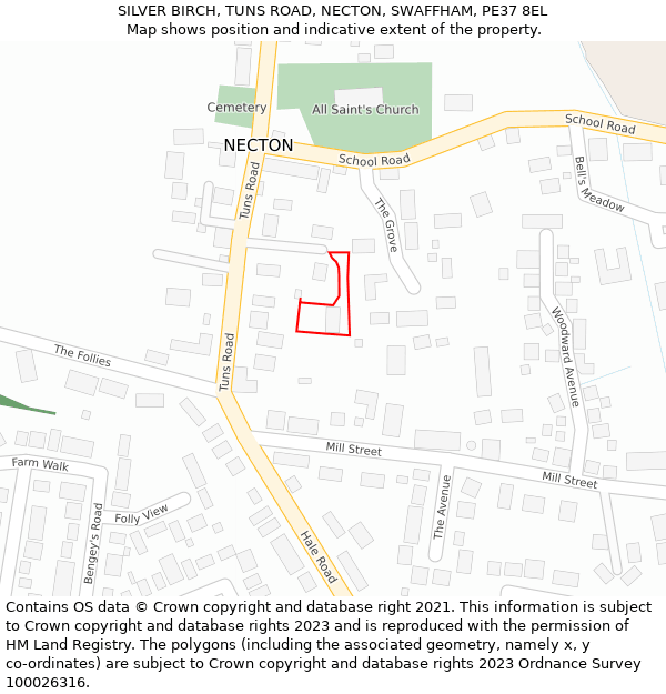 SILVER BIRCH, TUNS ROAD, NECTON, SWAFFHAM, PE37 8EL: Location map and indicative extent of plot
