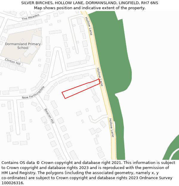 SILVER BIRCHES, HOLLOW LANE, DORMANSLAND, LINGFIELD, RH7 6NS: Location map and indicative extent of plot