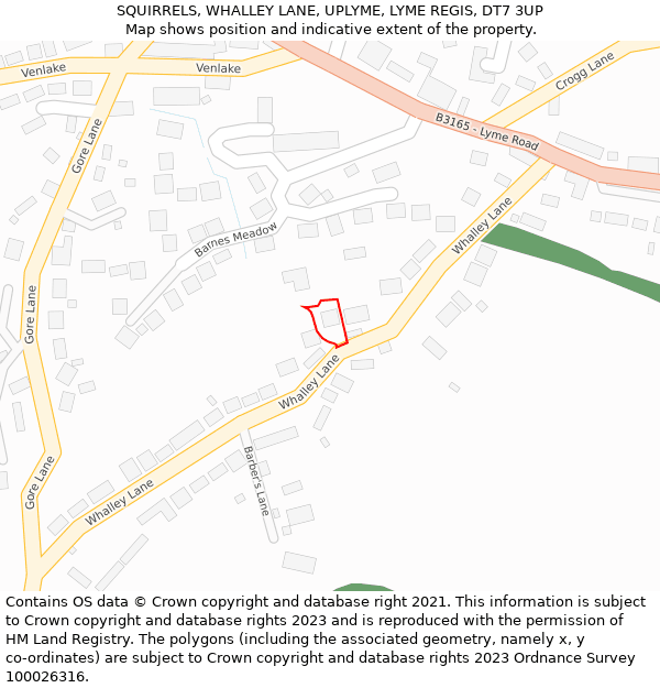 SQUIRRELS, WHALLEY LANE, UPLYME, LYME REGIS, DT7 3UP: Location map and indicative extent of plot