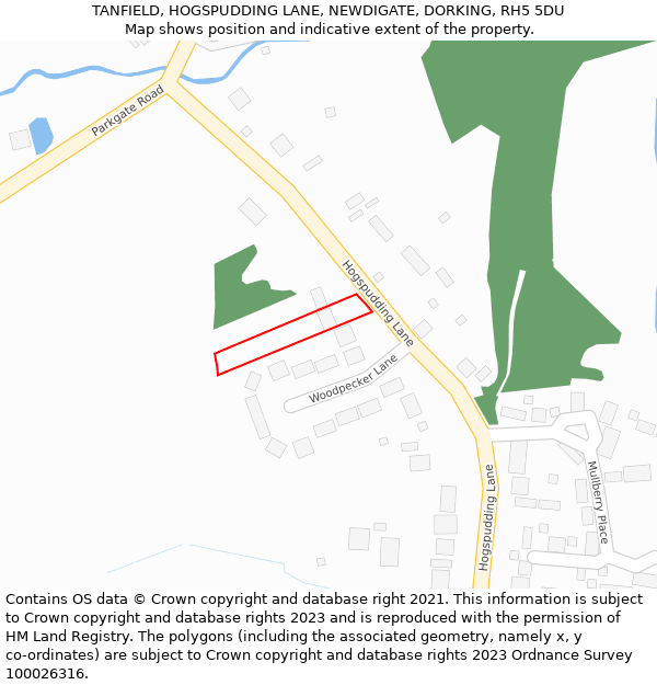 TANFIELD, HOGSPUDDING LANE, NEWDIGATE, DORKING, RH5 5DU: Location map and indicative extent of plot