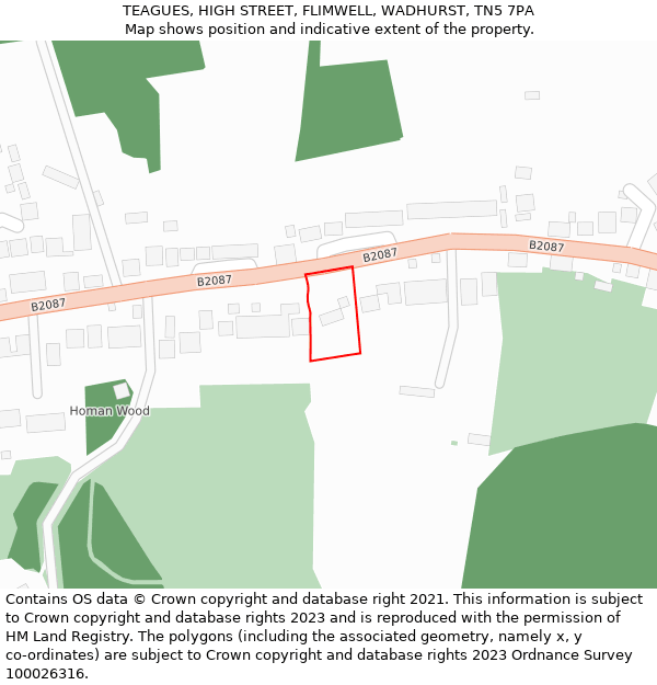 TEAGUES, HIGH STREET, FLIMWELL, WADHURST, TN5 7PA: Location map and indicative extent of plot