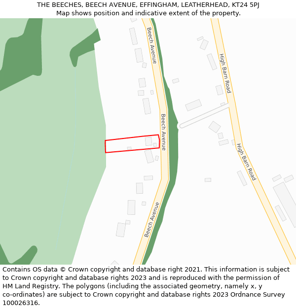 THE BEECHES, BEECH AVENUE, EFFINGHAM, LEATHERHEAD, KT24 5PJ: Location map and indicative extent of plot