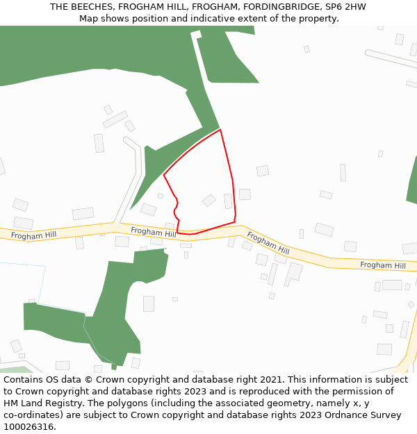 THE BEECHES, FROGHAM HILL, FROGHAM, FORDINGBRIDGE, SP6 2HW: Location map and indicative extent of plot