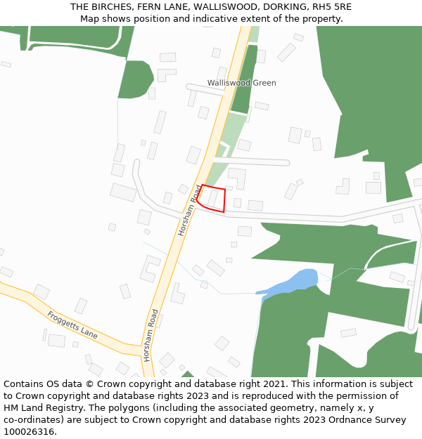 THE BIRCHES, FERN LANE, WALLISWOOD, DORKING, RH5 5RE: Location map and indicative extent of plot