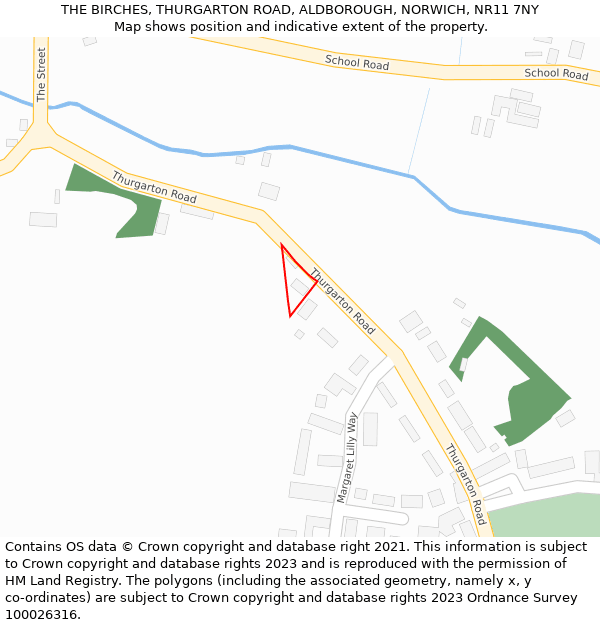 THE BIRCHES, THURGARTON ROAD, ALDBOROUGH, NORWICH, NR11 7NY: Location map and indicative extent of plot