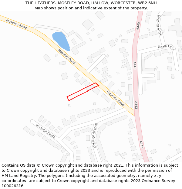 THE HEATHERS, MOSELEY ROAD, HALLOW, WORCESTER, WR2 6NH: Location map and indicative extent of plot