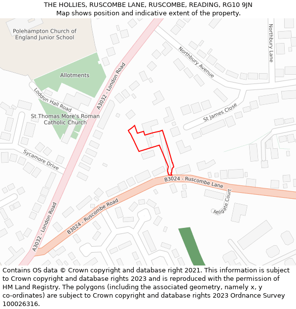 THE HOLLIES, RUSCOMBE LANE, RUSCOMBE, READING, RG10 9JN: Location map and indicative extent of plot