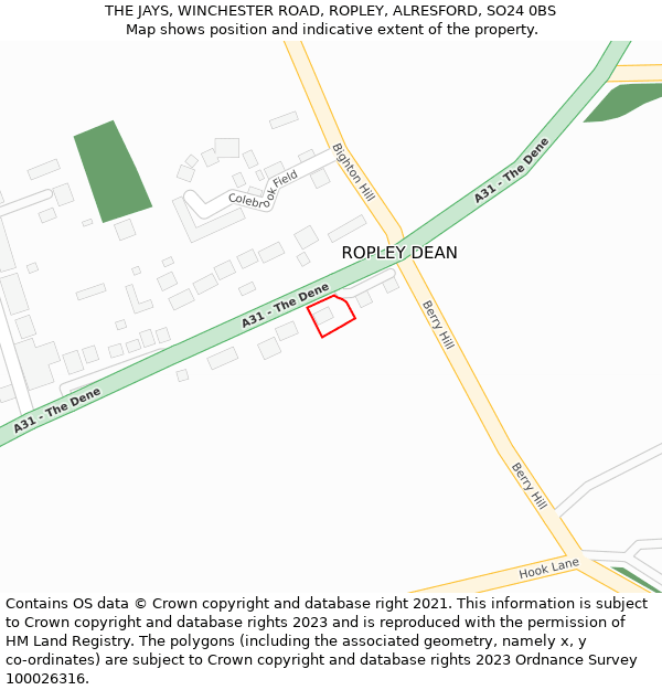 THE JAYS, WINCHESTER ROAD, ROPLEY, ALRESFORD, SO24 0BS: Location map and indicative extent of plot