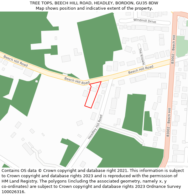 TREE TOPS, BEECH HILL ROAD, HEADLEY, BORDON, GU35 8DW: Location map and indicative extent of plot