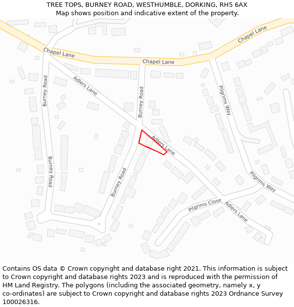 TREE TOPS, BURNEY ROAD, WESTHUMBLE, DORKING, RH5 6AX: Location map and indicative extent of plot