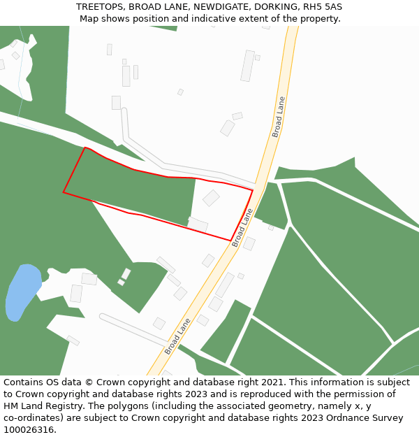 TREETOPS, BROAD LANE, NEWDIGATE, DORKING, RH5 5AS: Location map and indicative extent of plot