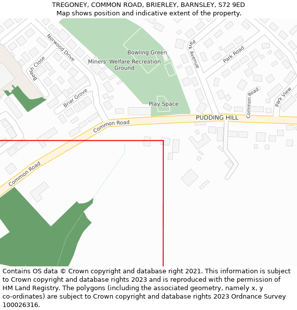 TREGONEY, COMMON ROAD, BRIERLEY, BARNSLEY, S72 9ED: Location map and indicative extent of plot
