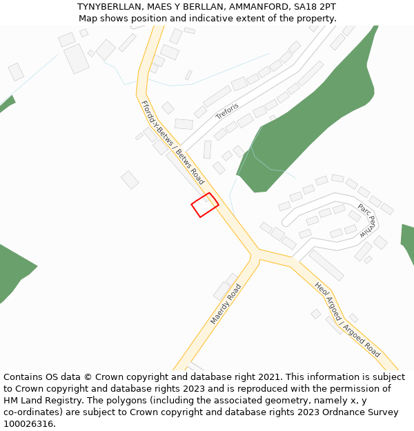 TYNYBERLLAN, MAES Y BERLLAN, AMMANFORD, SA18 2PT: Location map and indicative extent of plot