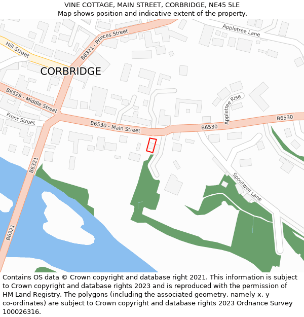 VINE COTTAGE, MAIN STREET, CORBRIDGE, NE45 5LE: Location map and indicative extent of plot