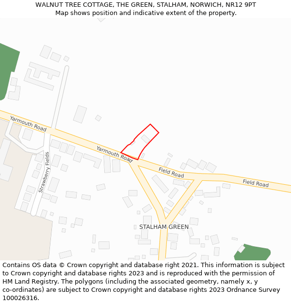 WALNUT TREE COTTAGE, THE GREEN, STALHAM, NORWICH, NR12 9PT: Location map and indicative extent of plot