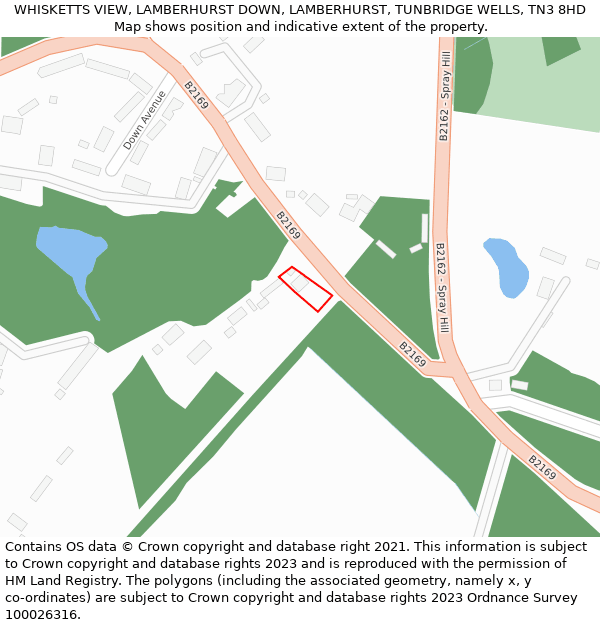 WHISKETTS VIEW, LAMBERHURST DOWN, LAMBERHURST, TUNBRIDGE WELLS, TN3 8HD: Location map and indicative extent of plot