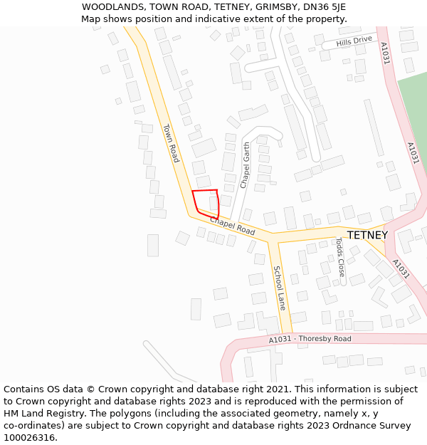 WOODLANDS, TOWN ROAD, TETNEY, GRIMSBY, DN36 5JE: Location map and indicative extent of plot