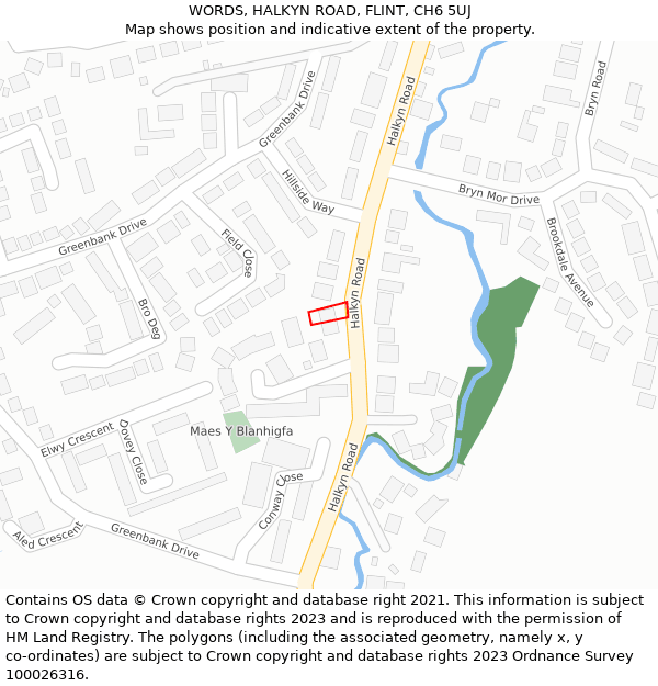 WORDS, HALKYN ROAD, FLINT, CH6 5UJ: Location map and indicative extent of plot