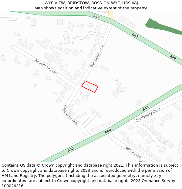 WYE VIEW, BRIDSTOW, ROSS-ON-WYE, HR9 6AJ: Location map and indicative extent of plot