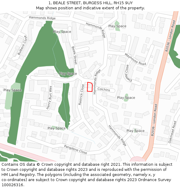 1, BEALE STREET, BURGESS HILL, RH15 9UY: Location map and indicative extent of plot