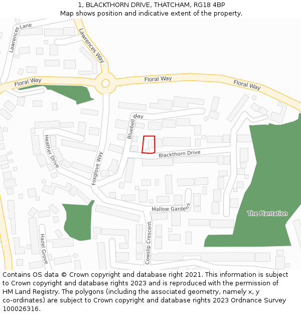 1, BLACKTHORN DRIVE, THATCHAM, RG18 4BP: Location map and indicative extent of plot