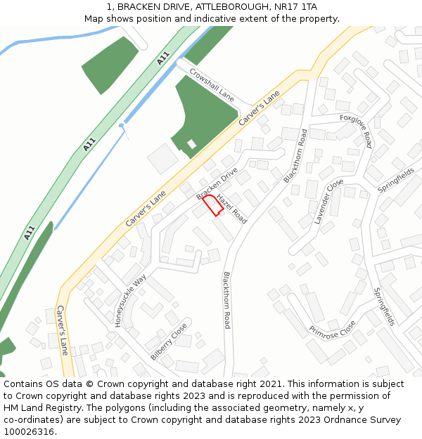 1, BRACKEN DRIVE, ATTLEBOROUGH, NR17 1TA: Location map and indicative extent of plot