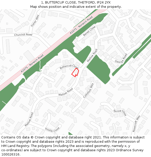 1, BUTTERCUP CLOSE, THETFORD, IP24 2YX: Location map and indicative extent of plot