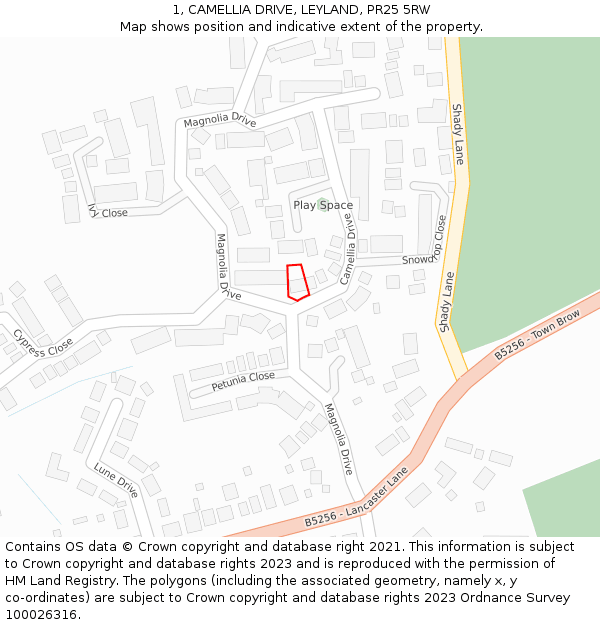 1, CAMELLIA DRIVE, LEYLAND, PR25 5RW: Location map and indicative extent of plot