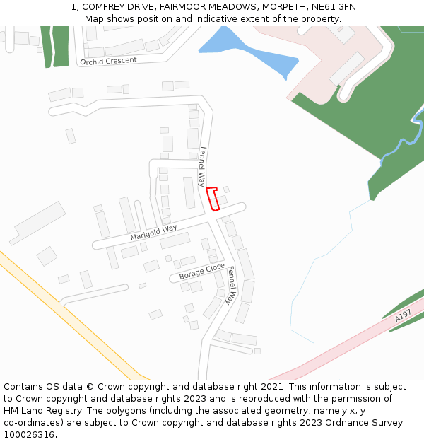 1, COMFREY DRIVE, FAIRMOOR MEADOWS, MORPETH, NE61 3FN: Location map and indicative extent of plot