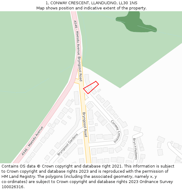 1, CONWAY CRESCENT, LLANDUDNO, LL30 1NS: Location map and indicative extent of plot