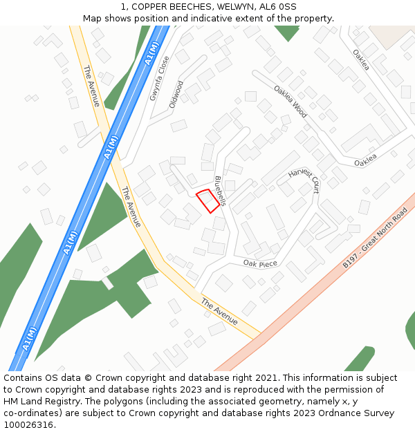 1, COPPER BEECHES, WELWYN, AL6 0SS: Location map and indicative extent of plot