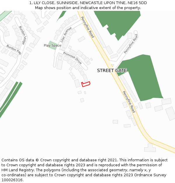 1, LILY CLOSE, SUNNISIDE, NEWCASTLE UPON TYNE, NE16 5DD: Location map and indicative extent of plot