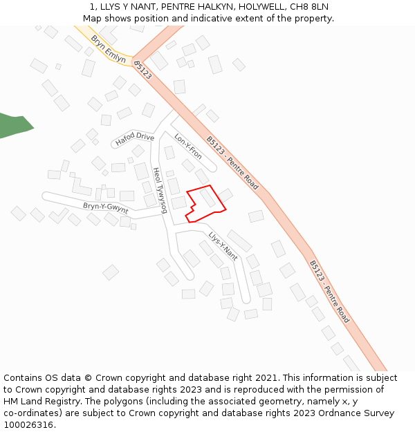 1, LLYS Y NANT, PENTRE HALKYN, HOLYWELL, CH8 8LN: Location map and indicative extent of plot