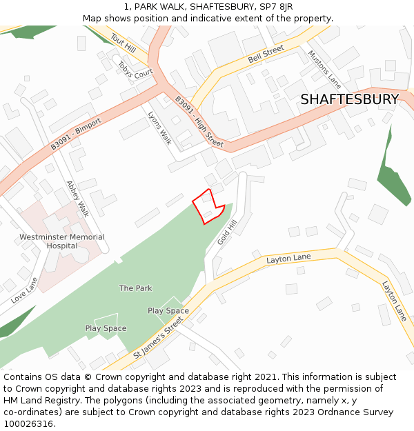 1, PARK WALK, SHAFTESBURY, SP7 8JR: Location map and indicative extent of plot