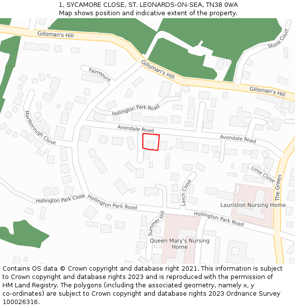 1, SYCAMORE CLOSE, ST. LEONARDS-ON-SEA, TN38 0WA: Location map and indicative extent of plot