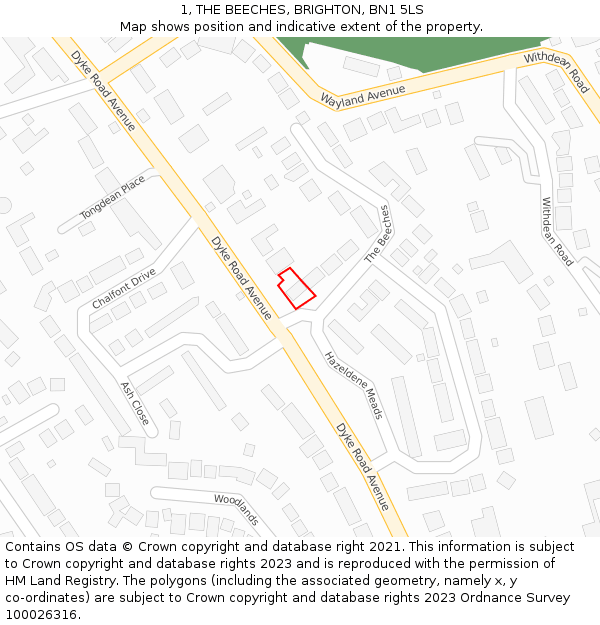 1, THE BEECHES, BRIGHTON, BN1 5LS: Location map and indicative extent of plot