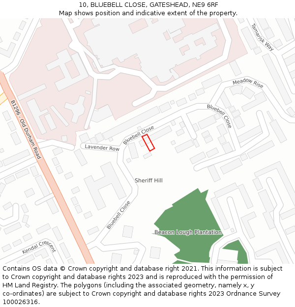10, BLUEBELL CLOSE, GATESHEAD, NE9 6RF: Location map and indicative extent of plot